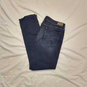 Women's Size 14M Levi's